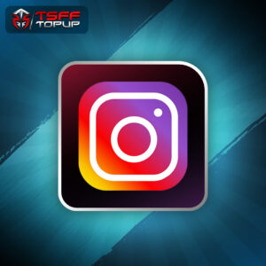 Instagram (Followers/Views)